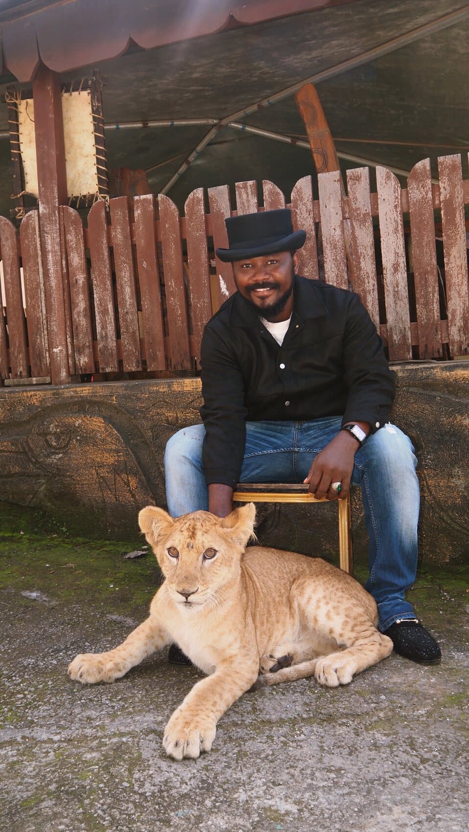 ABJKOREA in a black top hat seated beside a lion cub — an emblem of resilience and quiet strength.